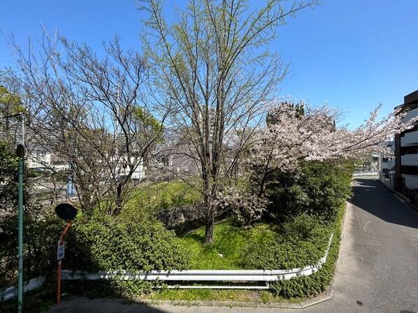 タウンライフ朝日が丘北の物件内観写真